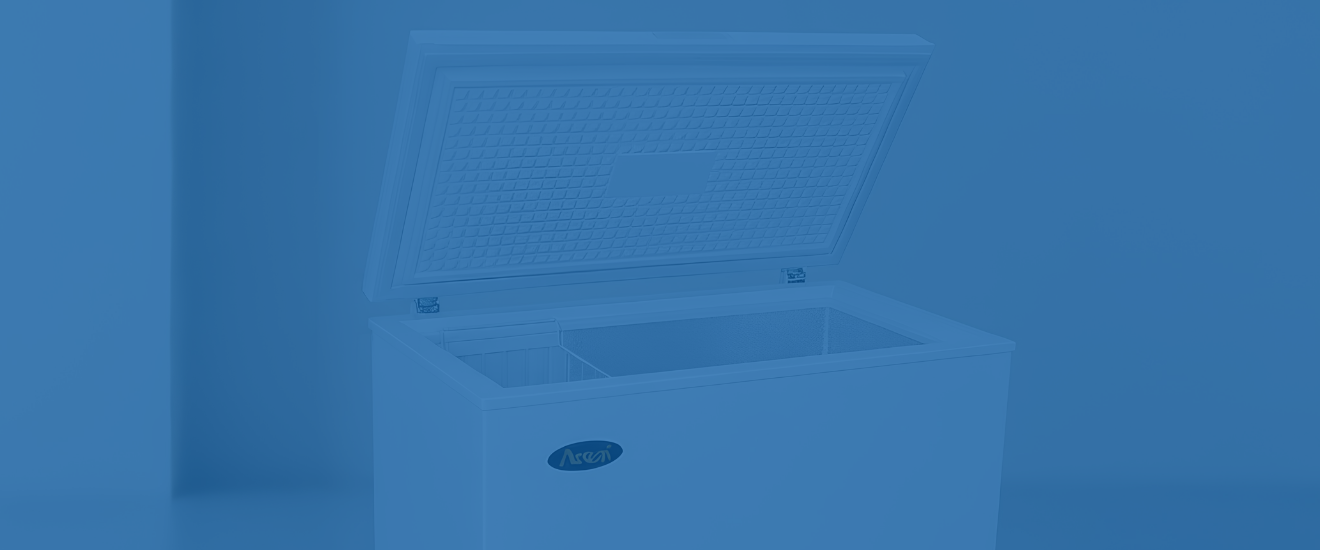 Chest Freezer